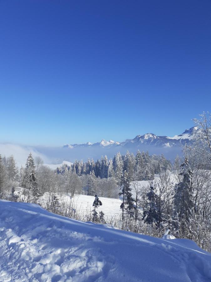 Charmant Appartement A 150 M Des Thermes Et Du Centre Ville Thonon-les-Bains Ngoại thất bức ảnh
