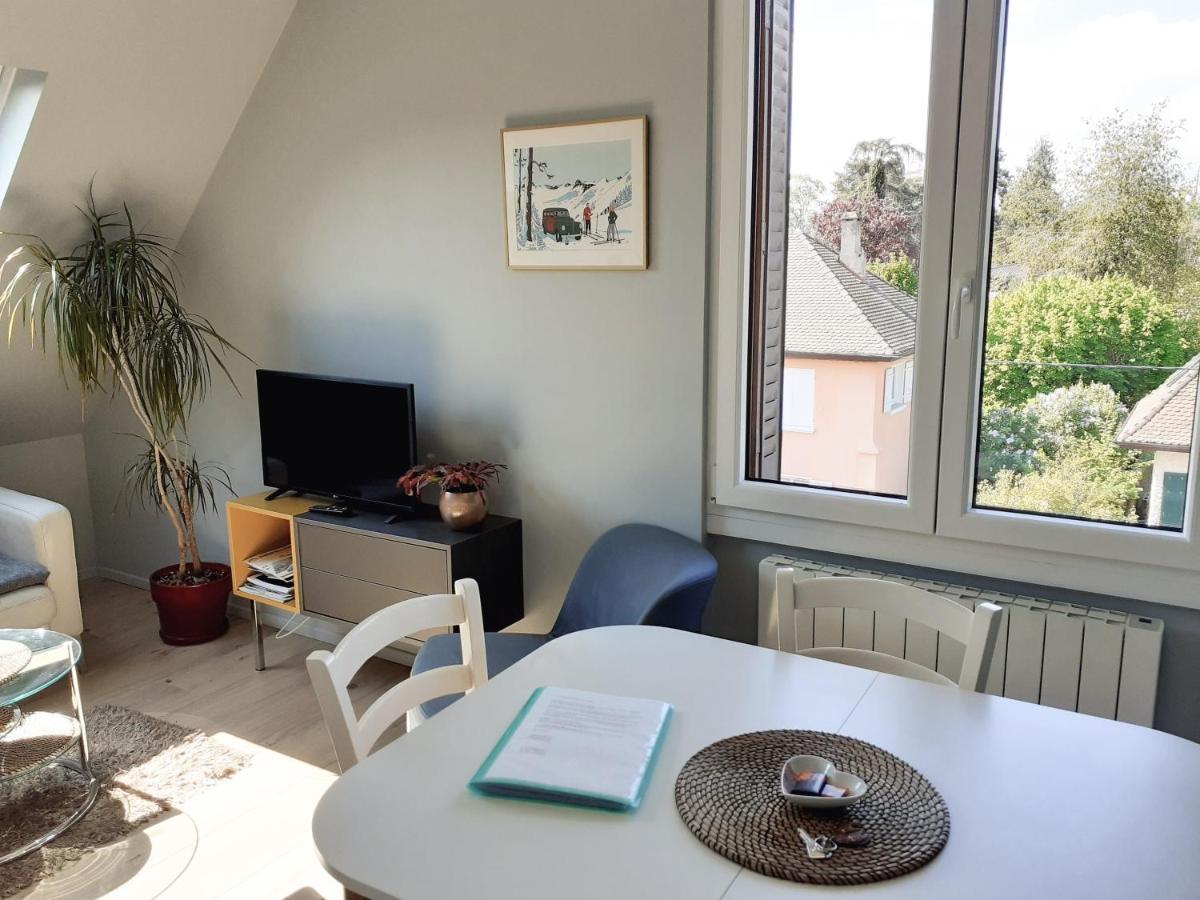 Charmant Appartement A 150 M Des Thermes Et Du Centre Ville Thonon-les-Bains Ngoại thất bức ảnh